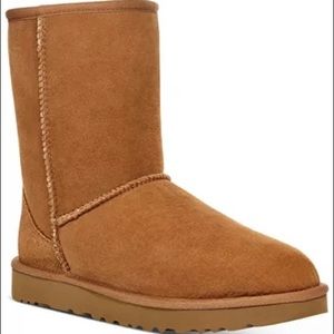 Ugg Women’s Classic Short Boots in Chestnut